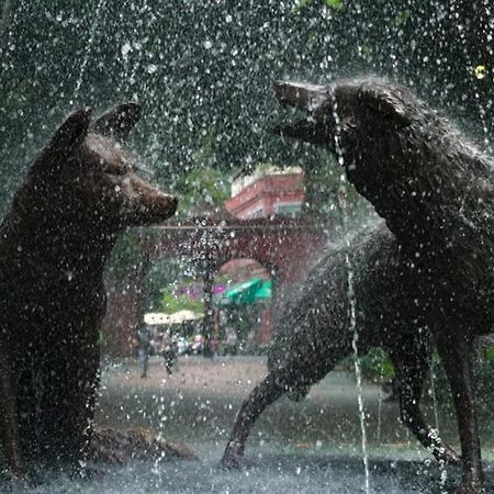 Casa Kalidy Coyoacan Kota Meksiko Bagian luar foto