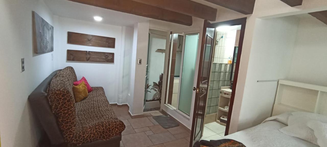 Casa Kalidy Coyoacan Kota Meksiko Bagian luar foto