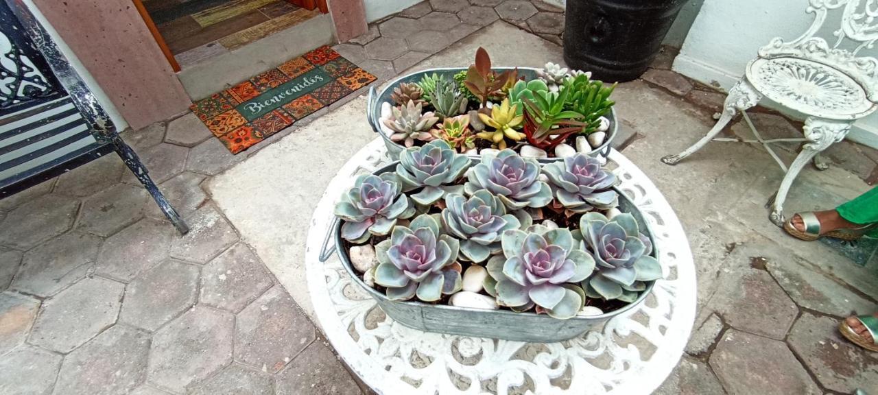 Casa Kalidy Coyoacan Kota Meksiko Bagian luar foto
